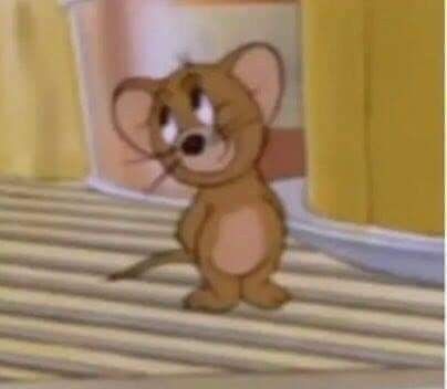 Bunelle₊✩‧ִֶָ𓂃 ࣪˖ ִֶָ🐇་༘࿐ tweet media