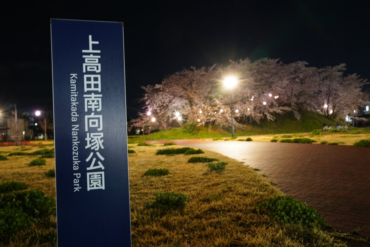 suno (すの) tweet media