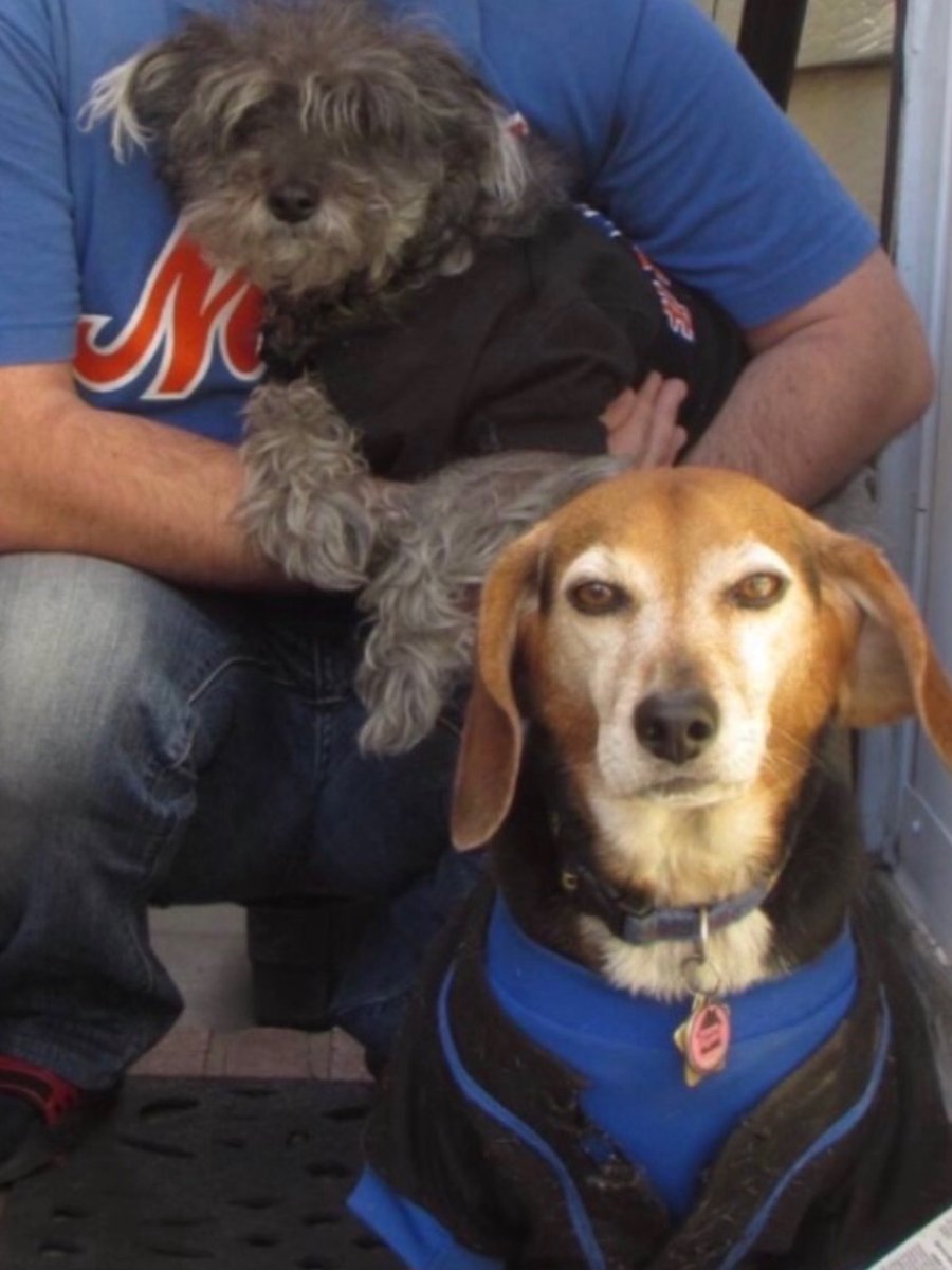 Mr. Mullunigan tweet media