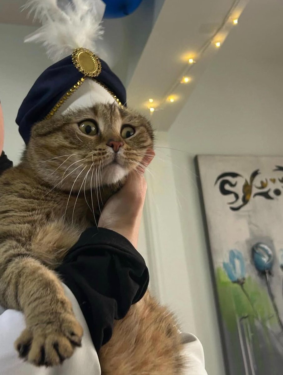 ZAM Haber tweet media