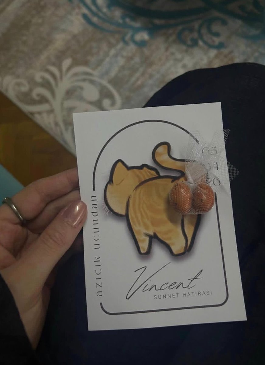 ZAM Haber tweet media