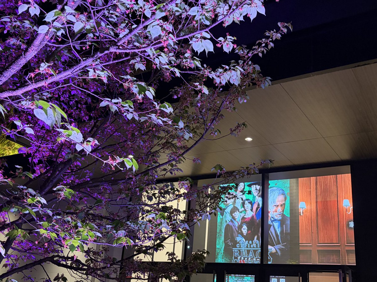 むじょさん=ï= .° tweet media