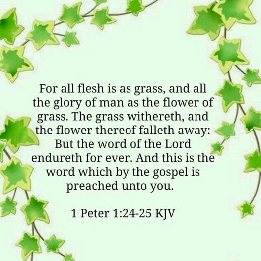 Bernadette99797's tweet photo. #TrustJesus #JesusIsGod #ScriptureReflection #bibleverseoftheday #JesusLovesMe #JesusIsTheWayTheTruthAndTheLife #JesusIsComingBack #JesusLovesYou https://t.co/6jKaeSWFAY