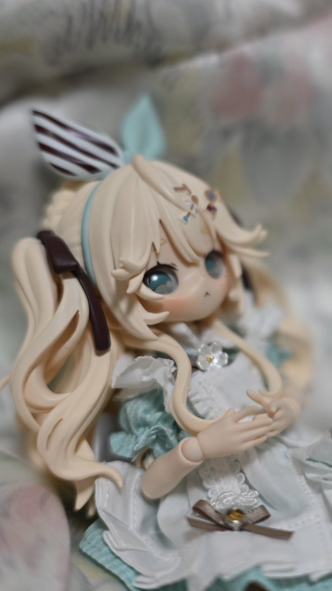 優衣@イルカ書房 tweet media