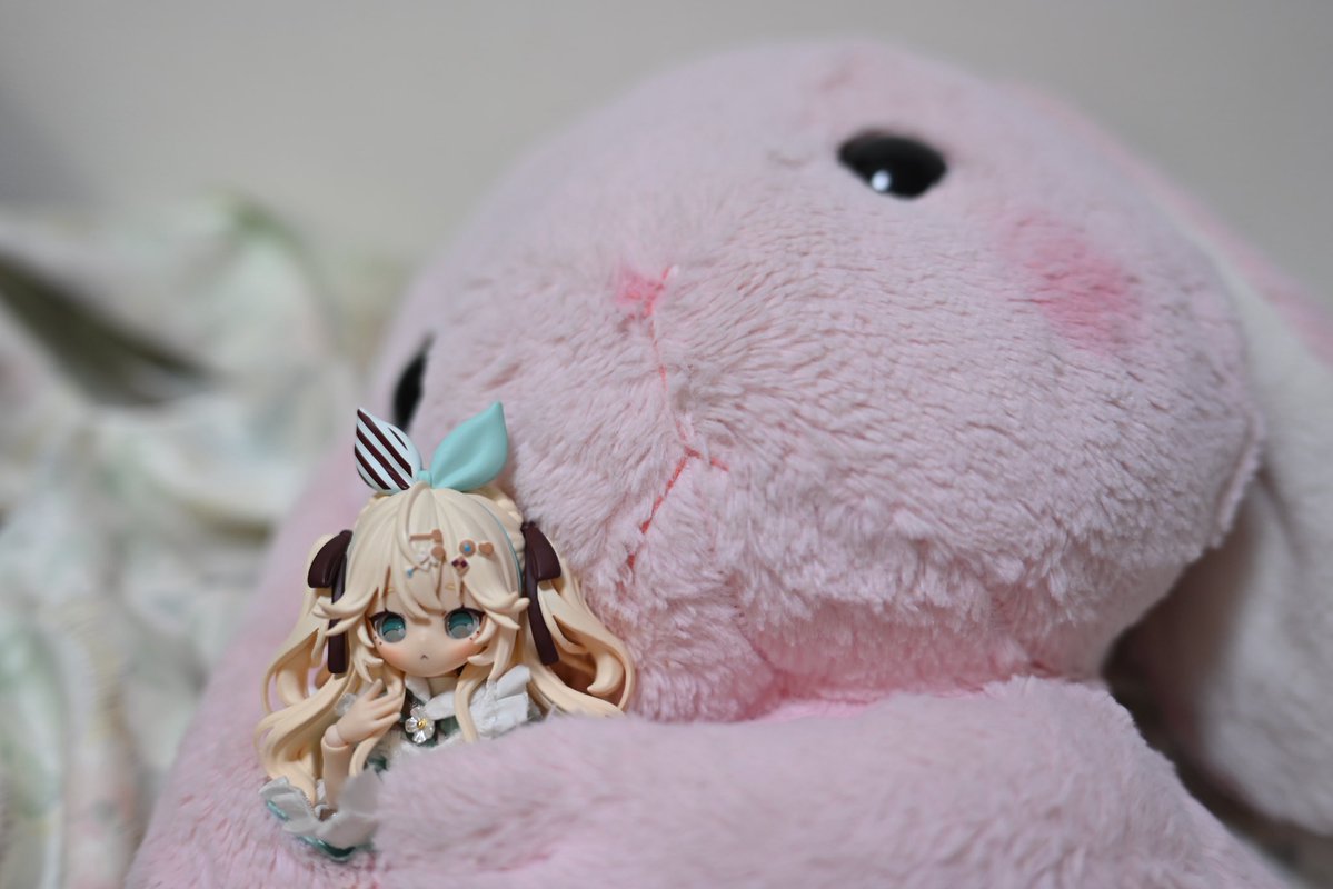 優衣@イルカ書房 tweet media