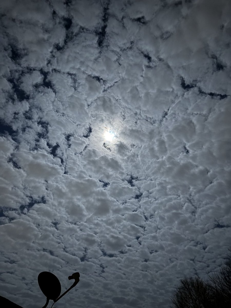 surg30nglobal tweet media