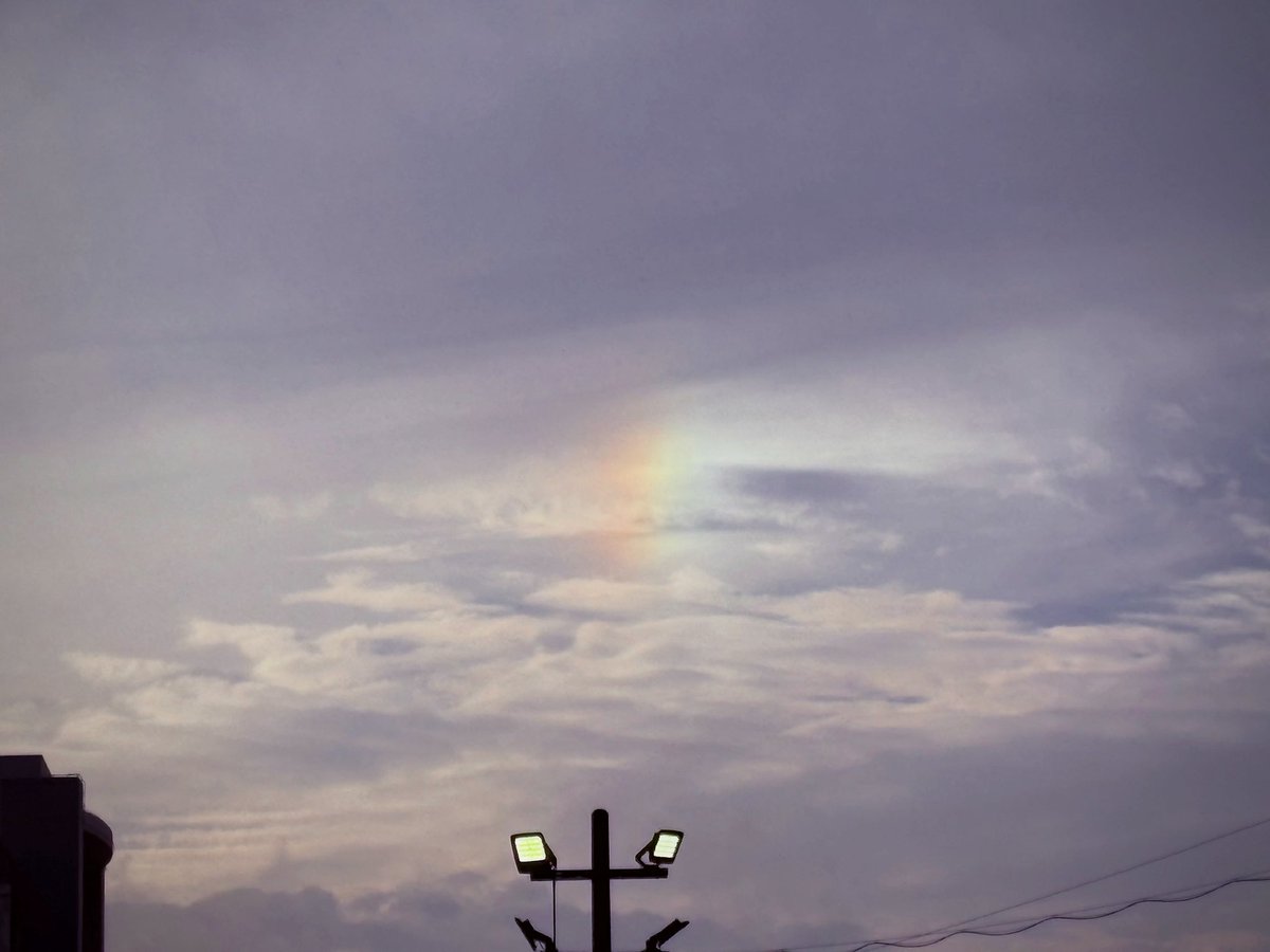 matoha0206's tweet photo. 豪雨の後にちっちゃい虹🌈 https://t.co/XKUJWPc2OH