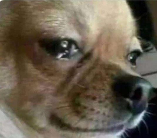 Peter Ajayi tweet media