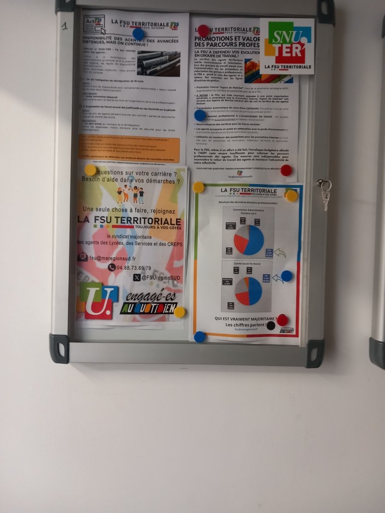 Le Bras Angèle tweet media