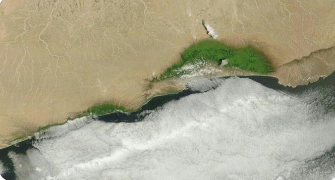 "صلالة المحروسة"

تميزت صلالة بسهل واسع شبه دائري يتقلص شرقا وغربا! محاطة بجبل يفصلها عن مناخ الصحراء! من جاءها في الخريف سيرى فاصلا بين منطقتين حارة وباردة!
سبحان الله!
صلالة ارض الضباب محروسة بسور جبلي وعر، وجنوبا بمحيط واسع،ساعدها قديما لتكون مخزن اللبان لتصدره للعالم ولازالت!