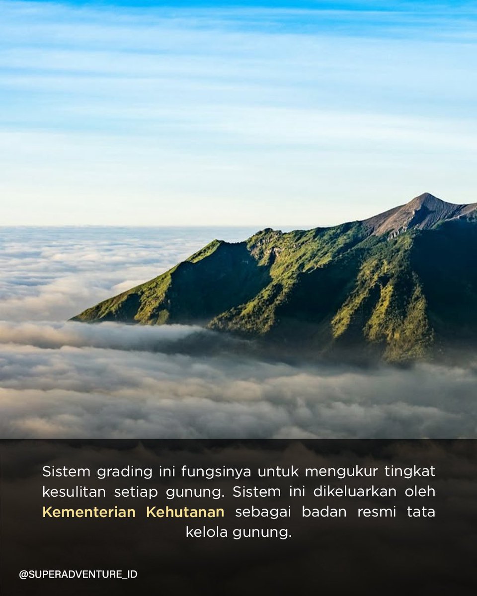 Super Adventure tweet media