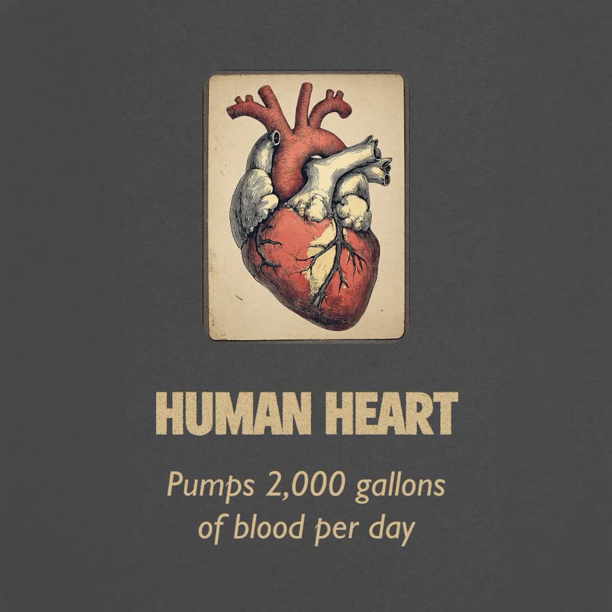 Hamz_ee 😎 tweet media