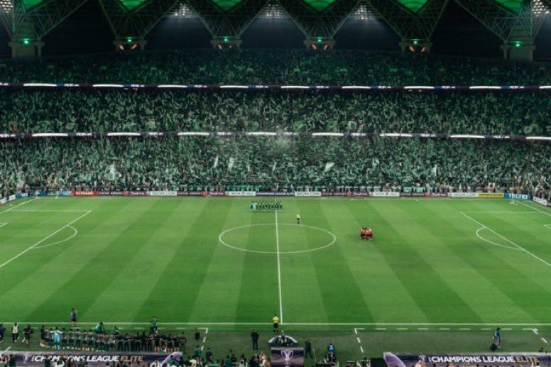 بـورخا tweet media