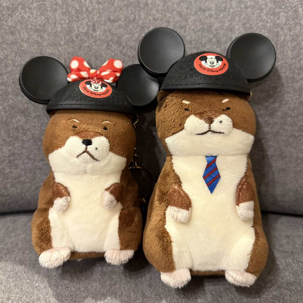 白湯(さゆ) tweet media