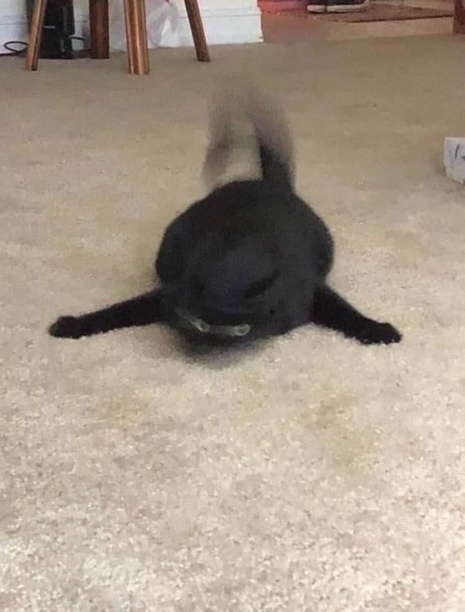 Ink Chan 18+ tweet media