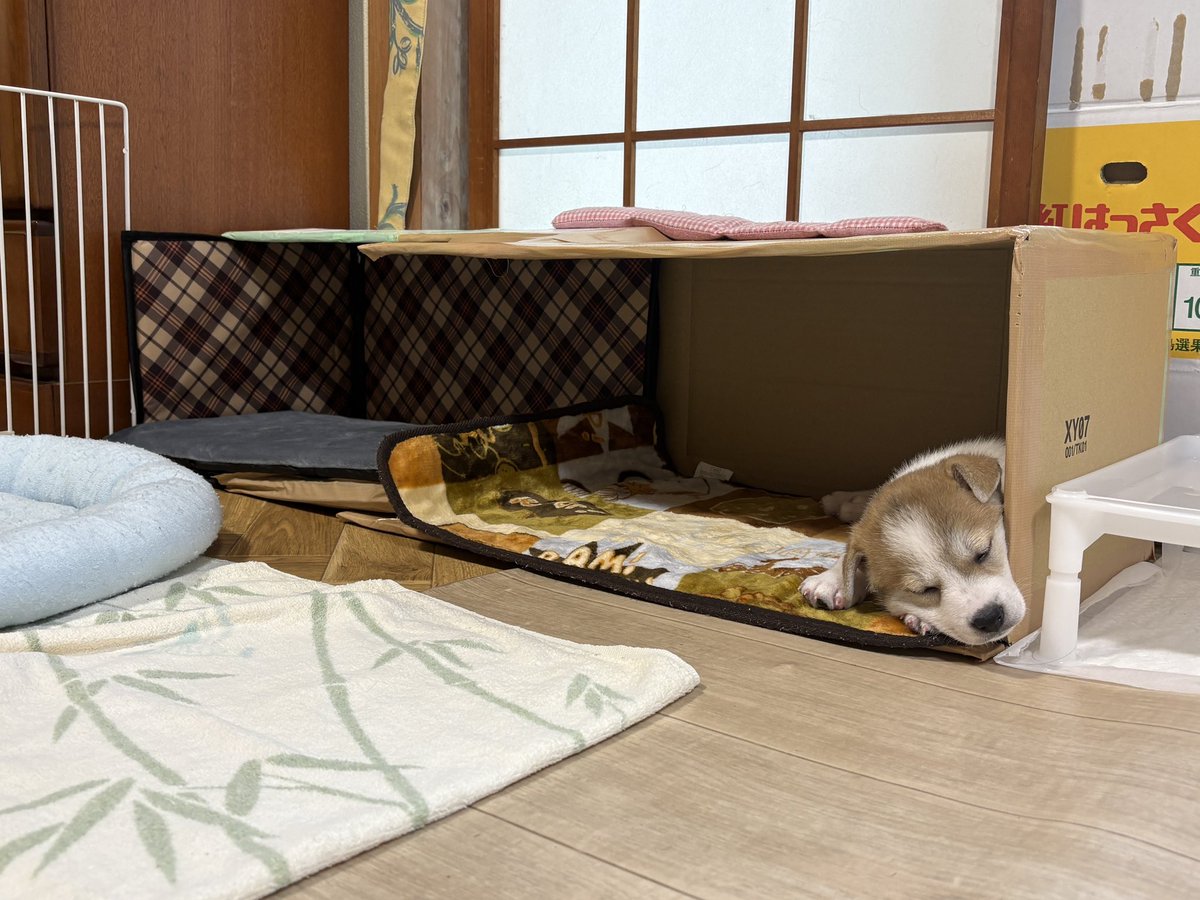 とも君ののんびりリハビリ生活 tweet media