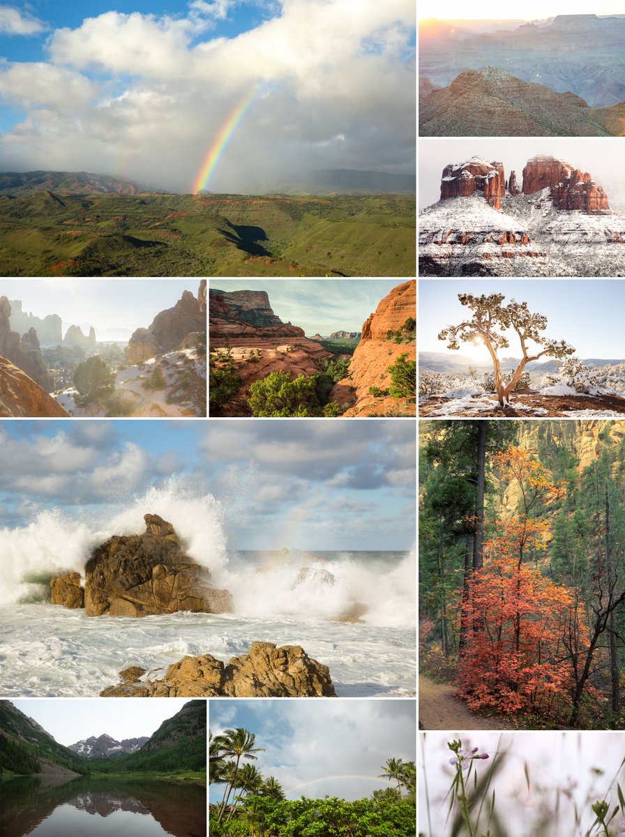 Erika Rand tweet media