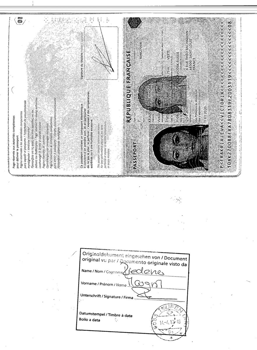 John Bingham tweet media