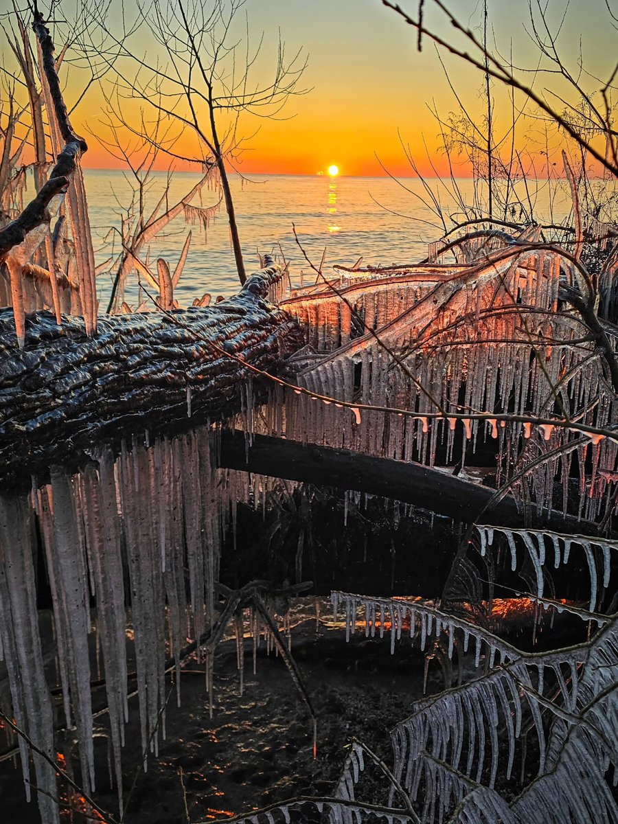 This Is Rochester! tweet media