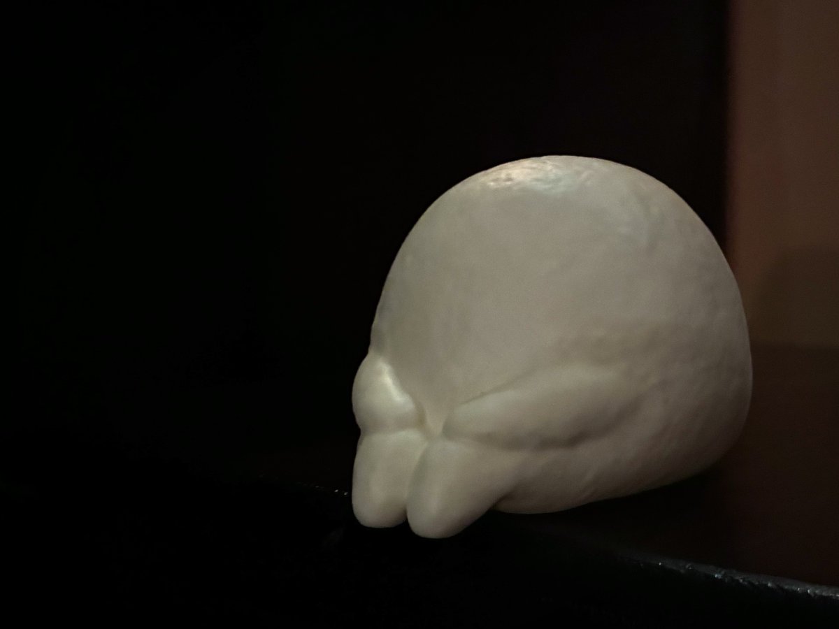 アルバ🧵オズの裁縫屋🪡 tweet media