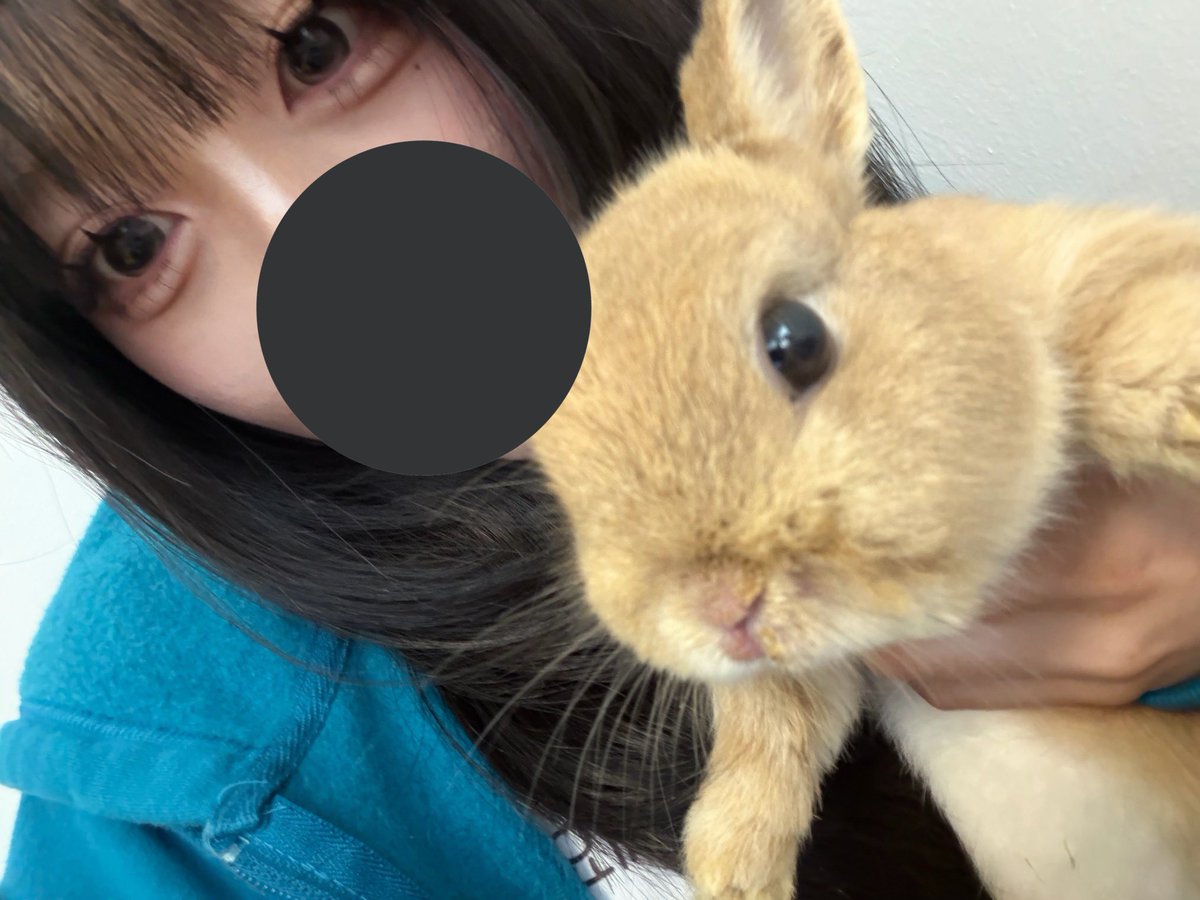 neddlemo's tweet photo. ㅁㄹㅅㄸ!! https://t.co/lS28ZVEhZb