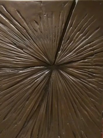 Nikman Begins tweet media