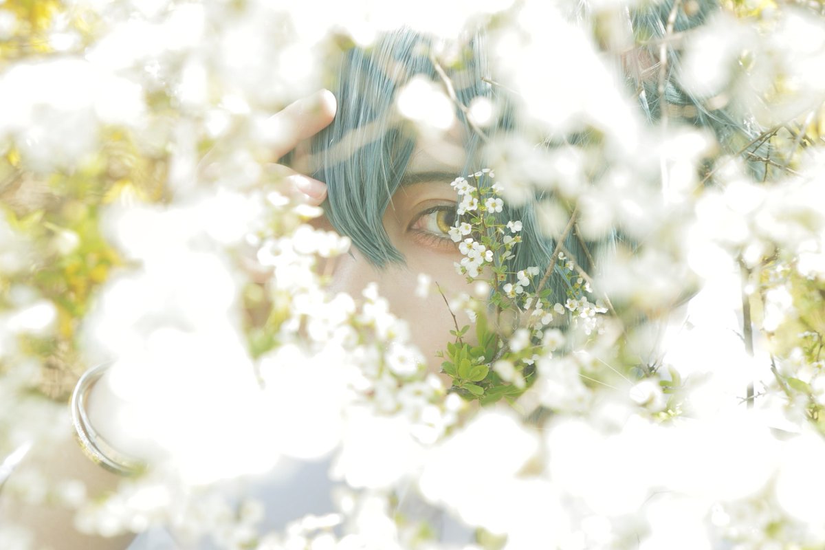 【cosplay：まほやく】ネロ

┈┈┈┈┈┈⿻*.·

photo：水萌(<a href="/minamo_00/">水萌📷ISTJ🧙‍♂️まほやくの撮影募集をお手伝いするbot化してる</a>)
#まほやく_cos