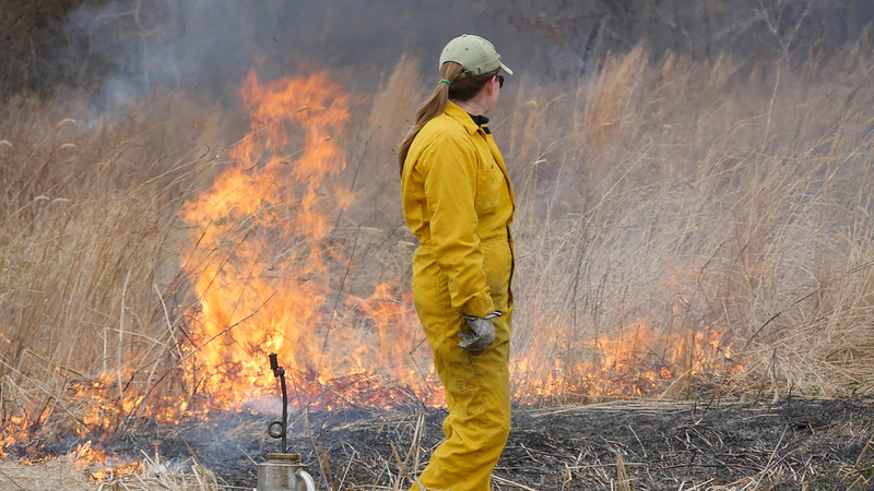 Maryland DNR tweet media
