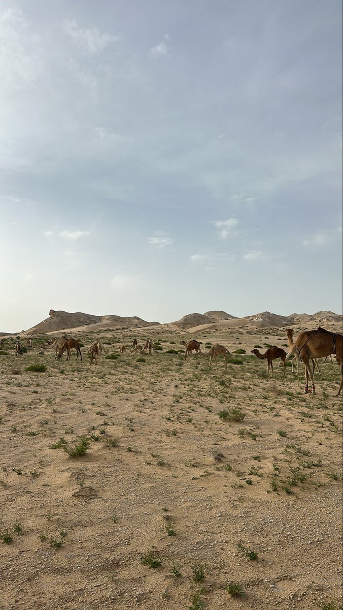 التقدير في العلاقات مو رفاهية… هو أساس الاستمرار.
الكلمة الطيبة، الاهتمام، والاعتراف بالجهد الصغير قبل الكبير—كلها أشياء تصنع فرق كبير.
لأن القلوب تعيش على التقدير، وتموت مع الإهمال.