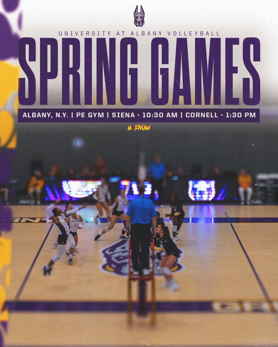 UAlbany Volleyball tweet media