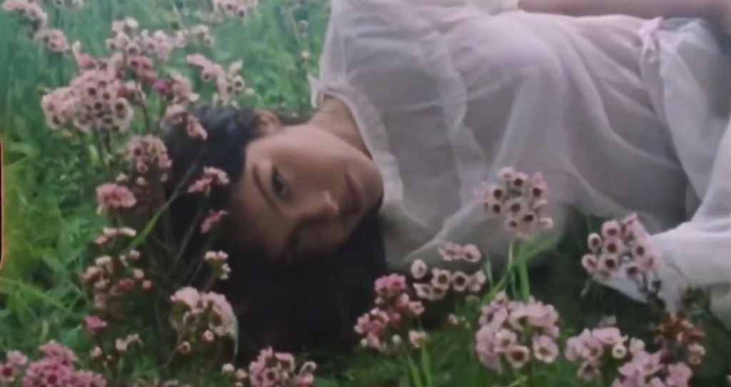 Dany (tv) liv laugh love tweet media