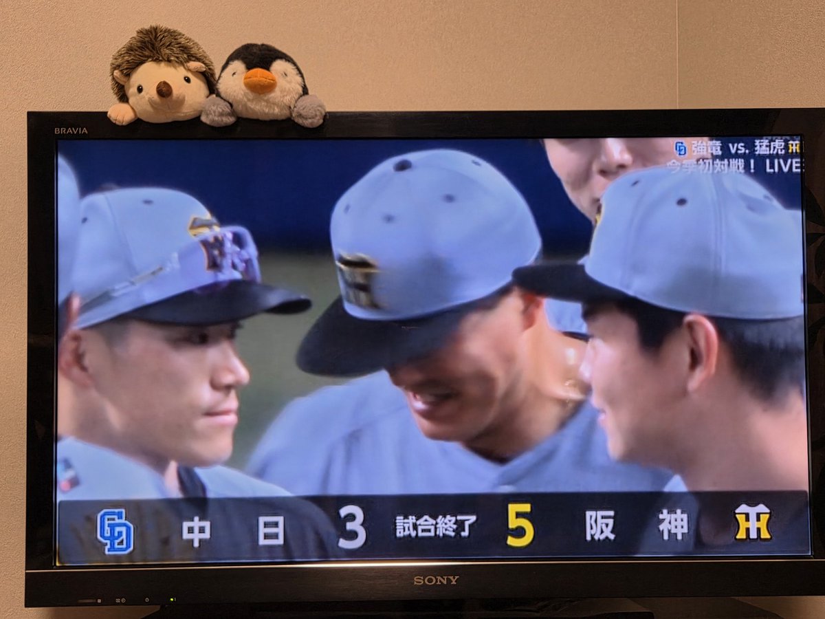 あみ🐯 tweet media