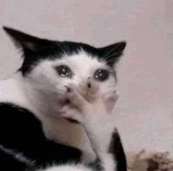 홍시그린그림🐈‍⬛ tweet media