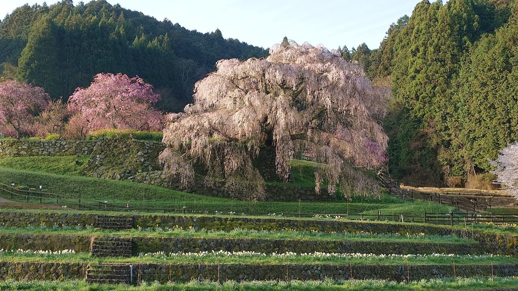 またたび研究所/また旅しよう。 tweet media