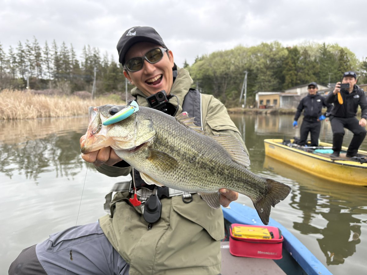 Mr.ノーバイト / 北畠蘭知亜 tweet media