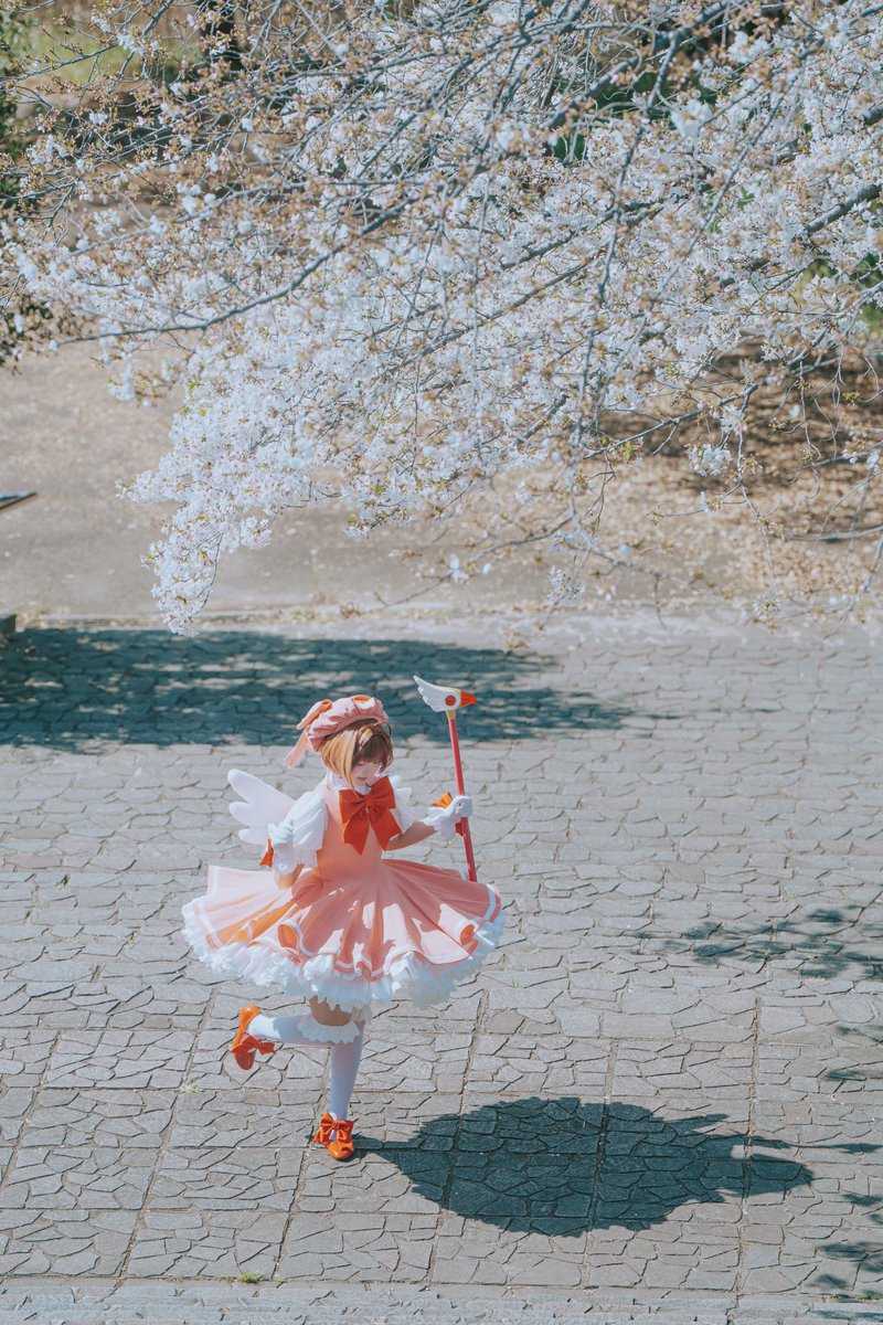 suipichan_02's tweet photo. Cosplay

 カードキャプターさくら🌸 https://t.co/N1TDUWJ5UF