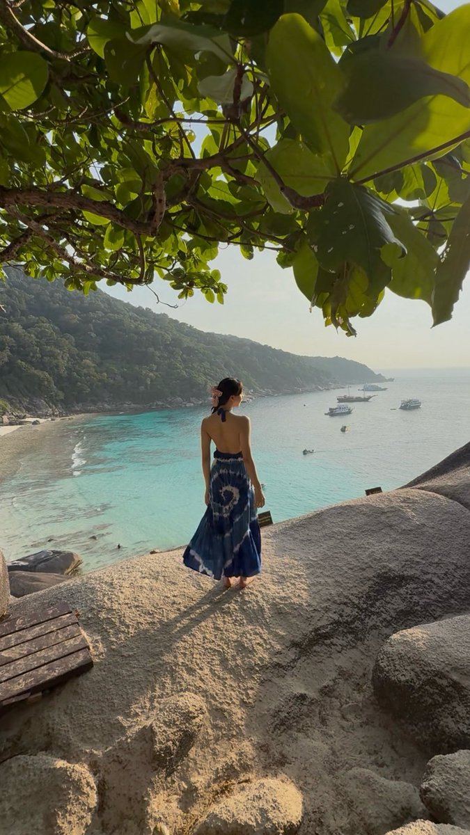 小弟妹🐻 tweet media