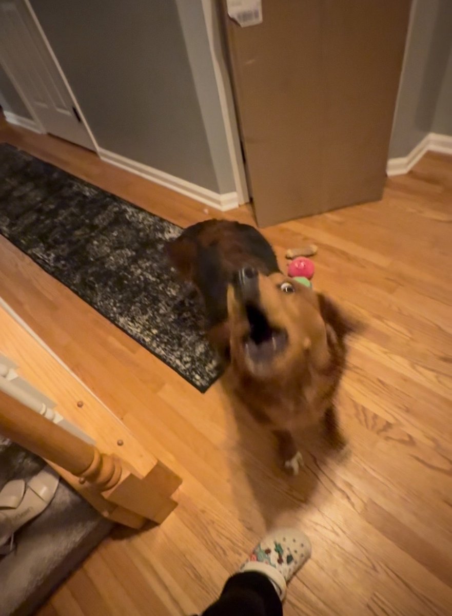 Mother D. Pooty tweet media