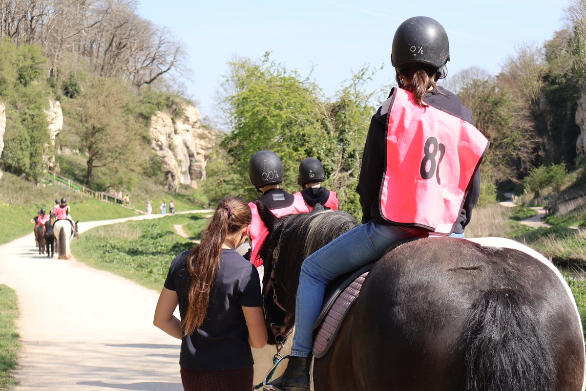 Team Fostering tweet media