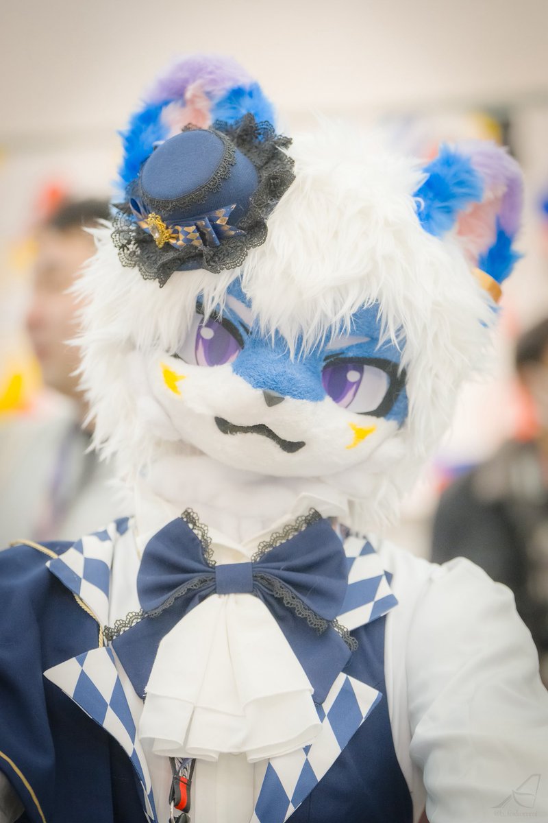 谁家猫猫这么小清新呀，哦原来是我自己，诶嘿~

Whose cat is so fresh? Oh, it turns out to be me, hey~

📷:<a href="/b_foxkonami/">青狐(あおこ)▶</a>