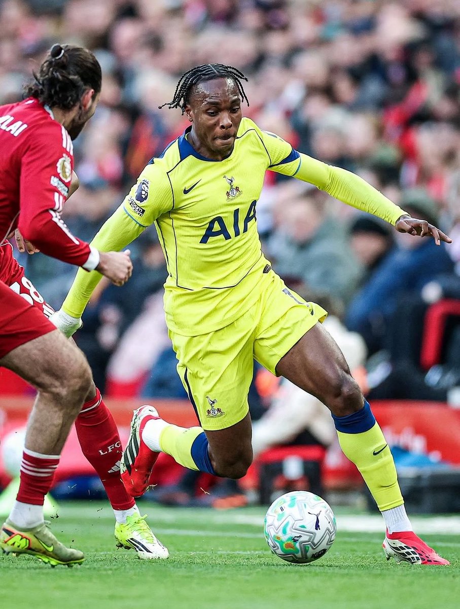 Lilywhite Rose tweet media