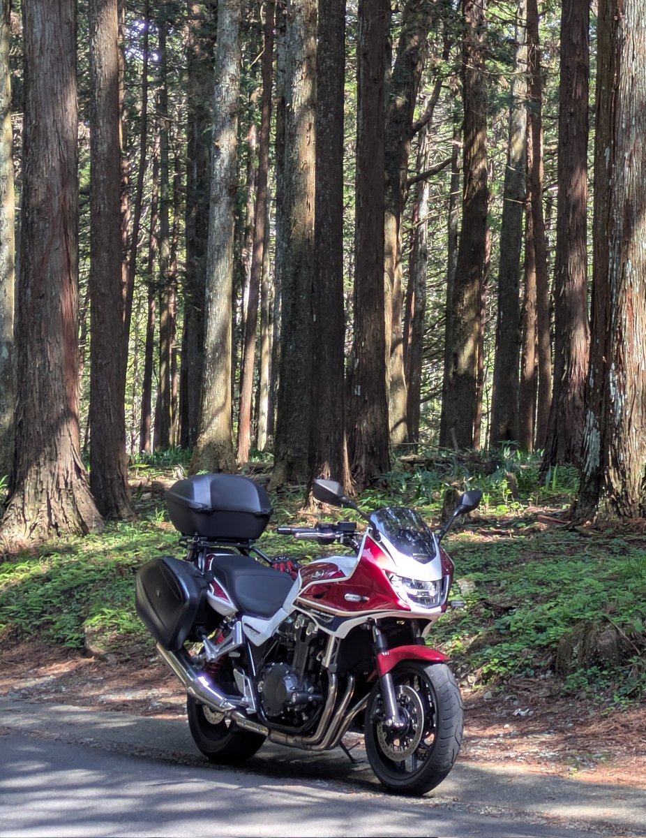 瑞雲ziun ELD55 tweet media