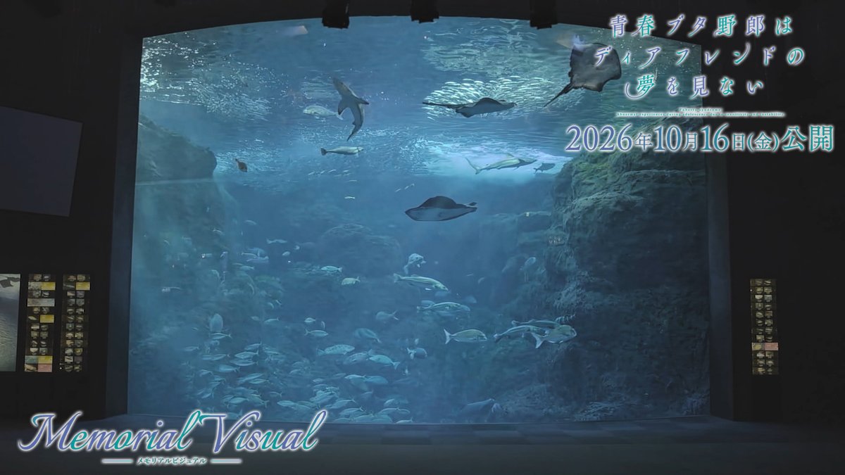 アニメ「青春ブタ野郎」シリーズ公式 tweet media