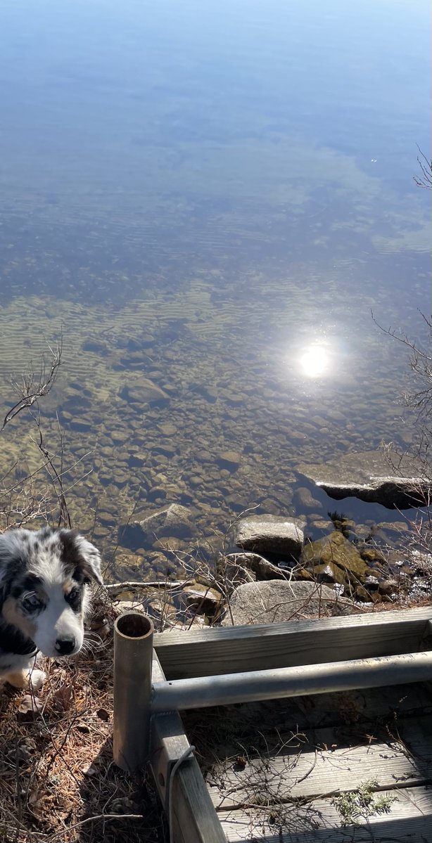 DRMerteb_Maine's tweet image. Hi