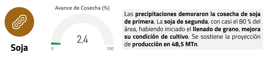 Mariela Brandolin tweet media