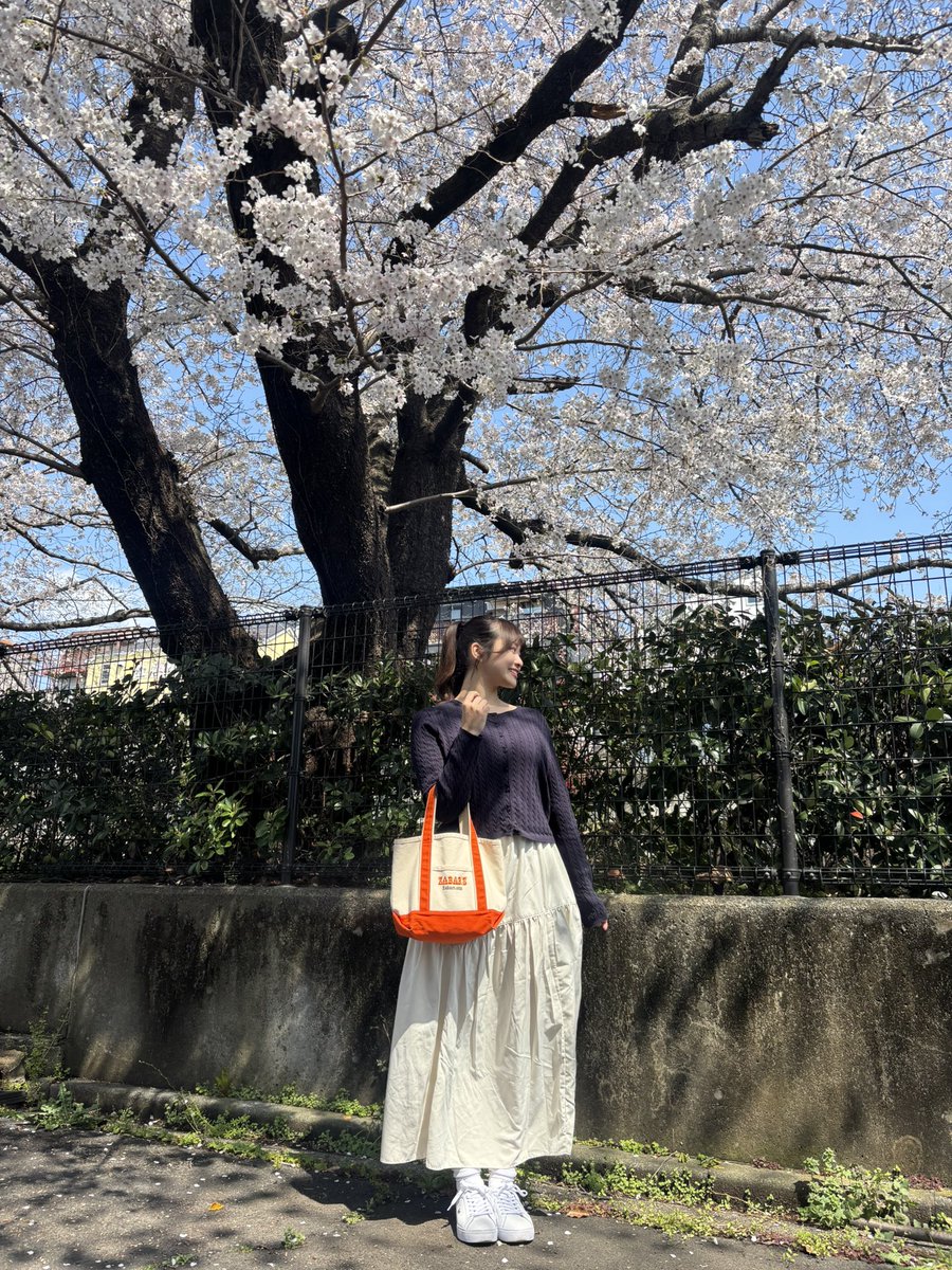 清水咲良 tweet media