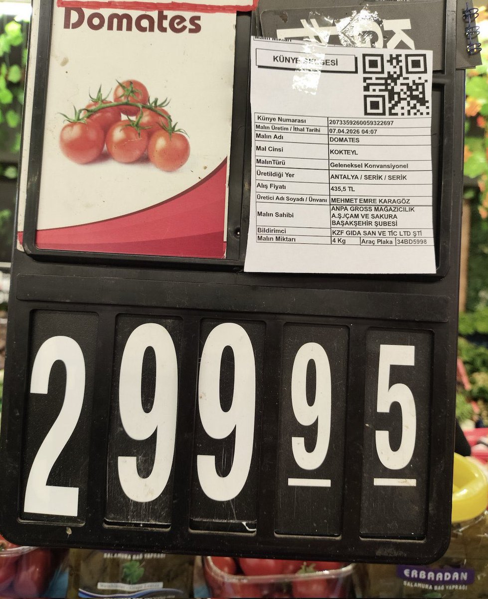 Mustafa POLAT 🇹🇷 tweet media