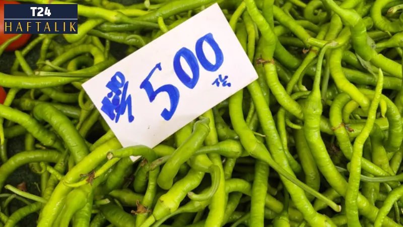 Mustafa POLAT 🇹🇷 tweet media