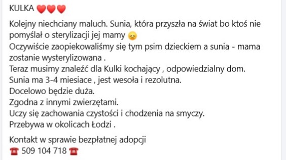 Robwalka Wolf tweet media