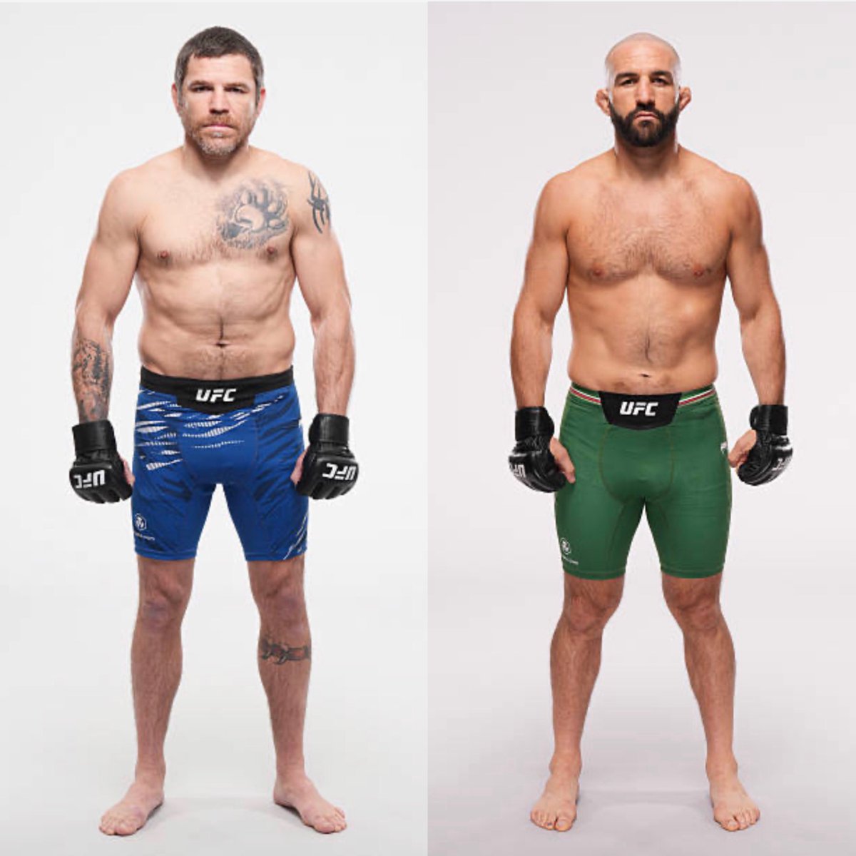 MMA Orbit tweet media